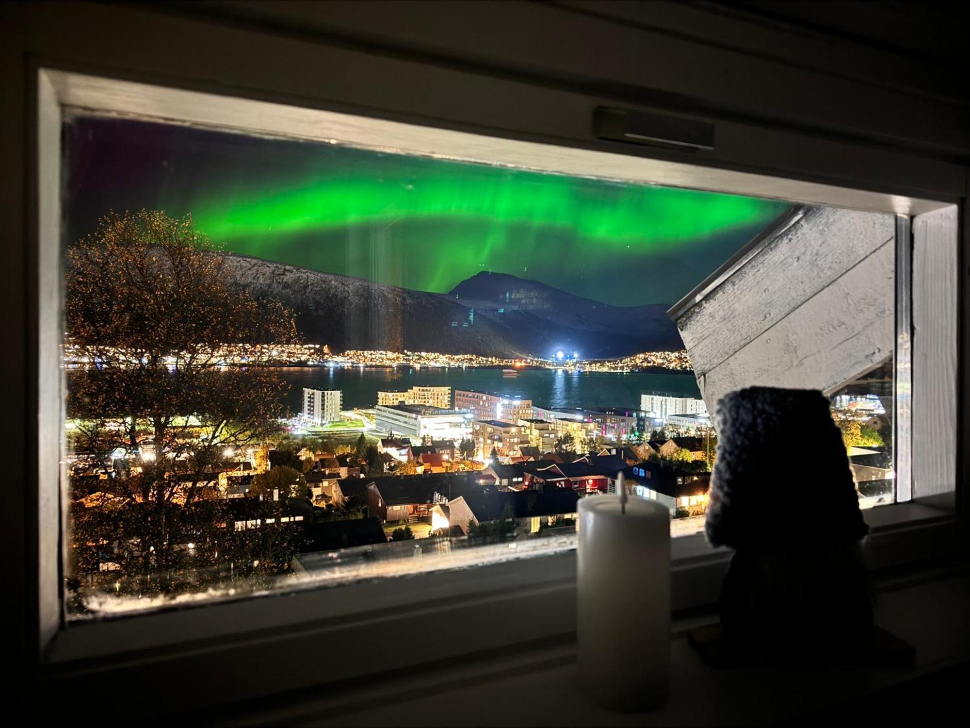 Cozy With Two Bedrooms And Beautiful View Appartement *